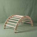 Indoor Climbing Frame no slide