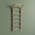 Swedish Ladder Gorilla Gym